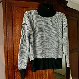 Banana Republic Black & White Turtleneck Sweater